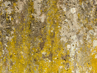 Texture of concrete wall