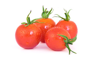 Tomate Tumbling Tom Red