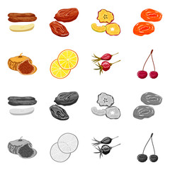 Vector illustration of food  and raw  icon. Collection of food  and nature   stock symbol for web.