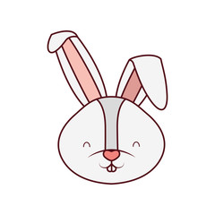 rabbit head isolated icon
