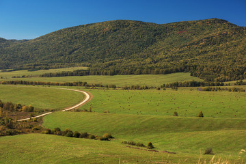 Fototapeta na wymiar Road at the mountains, beauty summer day, green meadow and blue sky.