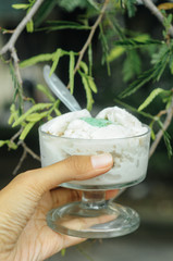 Holding Ice Cream