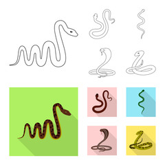 Vector design of mammal and danger logo. Set of mammal and medicine stock vector illustration.