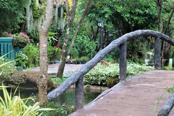 The road among the green nature