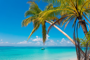 Fototapeta na wymiar Boat Caribbean Sea palm tree 