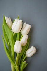 White tulips bouquet spring flowers on grey background still life