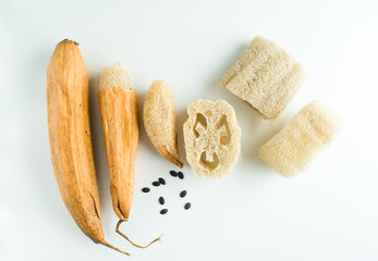 luffa sponges for zero waste washing and cleaning
