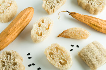 luffa sponges for zero waste washing and cleaning