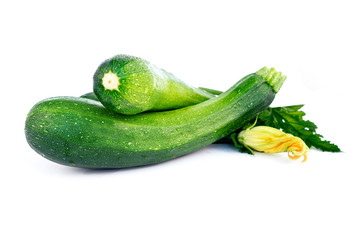 Zucchini Leila