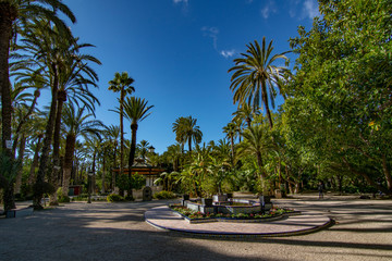 The Palmeral of Elche, Spain