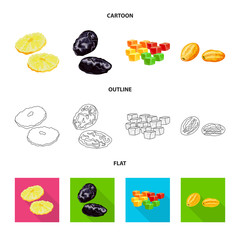 Isolated object of food  and raw  symbol. Collection of food  and nature   stock symbol for web.