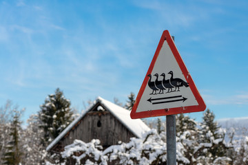 Schild: achtung querende Enten © Sonja Birkelbach