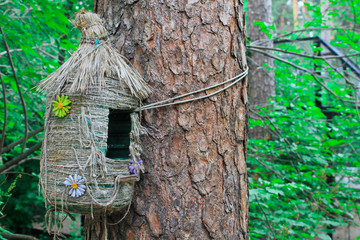 Feeder, decorative house for birds and squirrels, summer forest