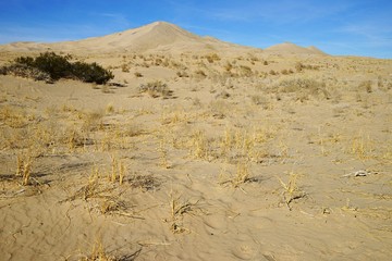 Kelso Dunes peaks view over bright blue sky