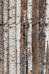 Obraz premium Wood fence background