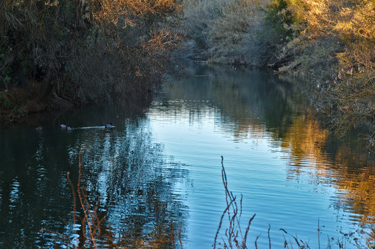 River of Paderne. Algarve, Portugal