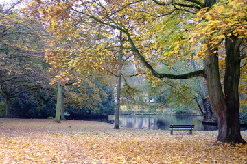 Obraz premium Flowers fall down the park in Germany