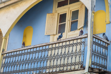 Pigeons sit on the balcony of an old abandoned house in the city of Nicosia, Cyprus