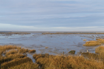 Wattenmeer