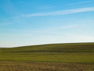 Obraz premium Green field on a background of blue sky