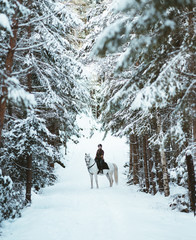 Horseback riding in the snow