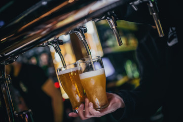 The man behind the bar pours beer holding a mug in his hand