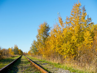 Fototapeta na wymiar raiload and autumn
