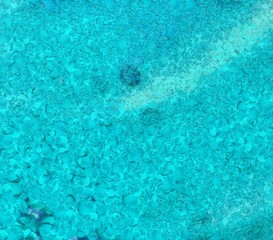 Designed grunge texture for creative ideas. Macro brushstrokes of oil. Abstract close up structure background. Colorful HD wallpaper. Simple graphic design template.