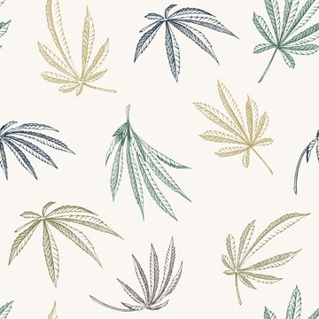 Vector colorful Seamless pattern of hemp plant on a beige background cannabis texture