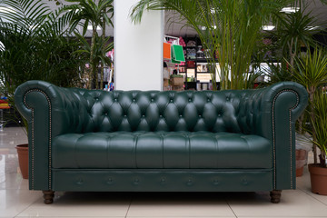 Obraz premium A place to relax or waiting area, the Chester leather green sofa and large indoor plants are on the floor. Leather sofa and large home plants, palm trees chamaedorea and dracaena