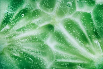 Aluminium Prints Macro photography cucumber close-up natural background