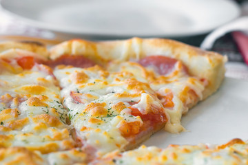 pizza with cheese close-up