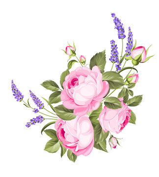 Blooming spring flowers garland of purple roses and violet lavender. Label with rose and lavender flowers. Vector illustration.