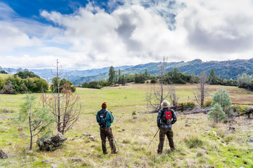 Obraz premium Hikers in Coastal Mountains at a meadow