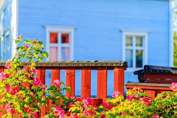 fence near the house and red roses