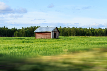 lonely house in the field