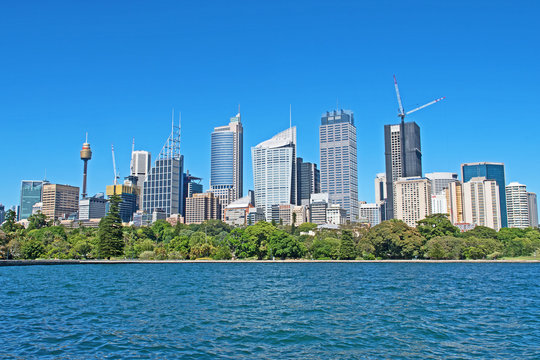The Sydney Central Business District as seen from the Botanical Gardens.