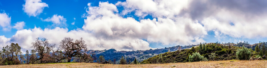 Obraz premium Cloudy Day in Mountain Meadow panorama 