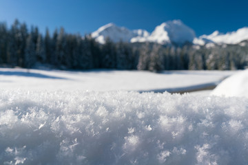 Snow-covered fir trees on a mountainside near Black Lake in Durmitor National Park