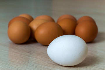 Big white egg and group of yellow eggs on kitchen table light background. Healthy organic food, delicious meal, cholesterol and diet concept.