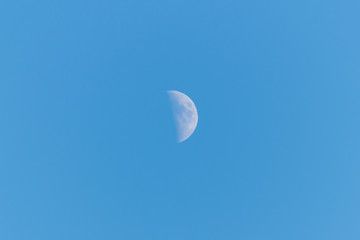 Obraz na płótnie Canvas Half moon on a clear blue sky