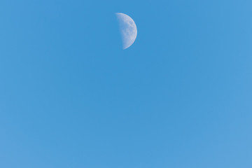 Half moon on a clear blue sky