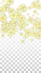 Vector Realistic Yellow Flowers Falling on Transparent Background.  Spring Romantic Flowers Illustration. Flying Petals. Sakura Spa Design. Blossom Confetti. Design Elements for Wedding Decoration.