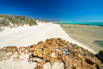 Fototapeta na wymiar wild beach at cape range national park, western australia 3