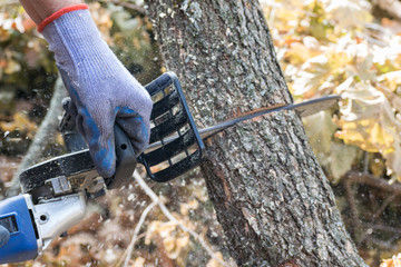 Man cuts trunk with an electric saw