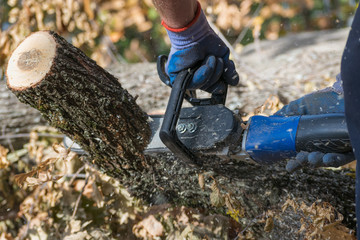 Man cuts trunk with an electric saw