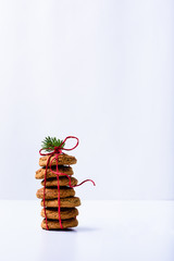 Homemade oatmeal cookies on white background. Copy space.