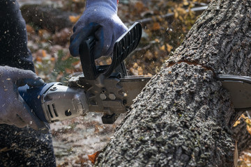 Man cuts trunk with an electric saw