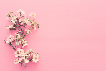 Obraz na płótnie Canvas photo of spring white cherry blossom tree on pastel pink wooden background. View from above, flat lay