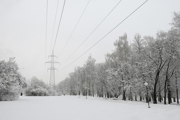 Electric cables in a park in the city covered by snow in winter. Trees, paths, lake, buildings, everything iced